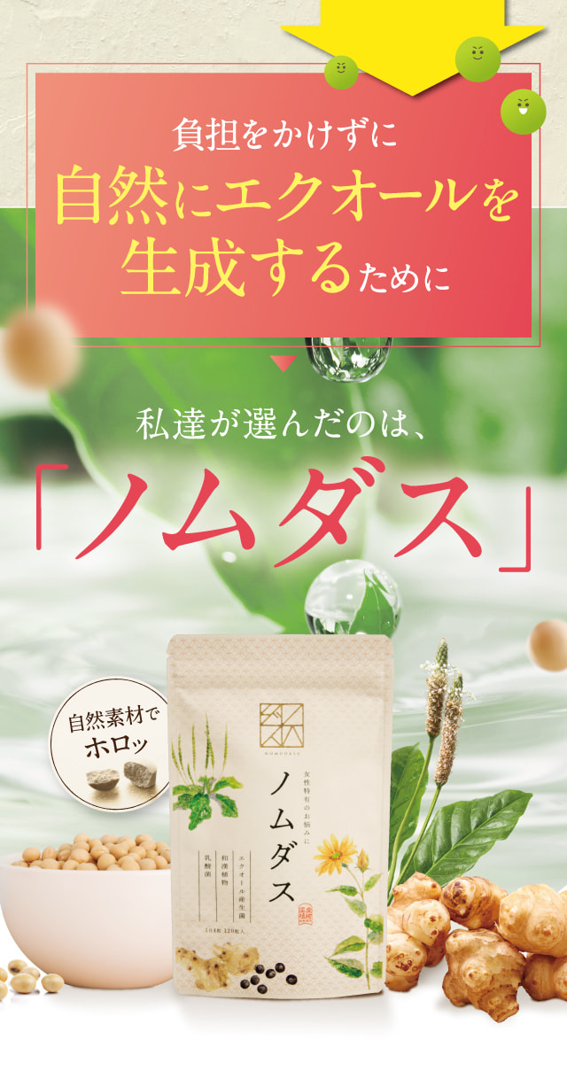 健康食品Nikoさま ノムダス 2袋 - その他